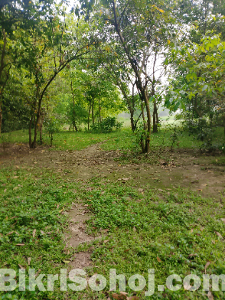 জমি বিক্রি